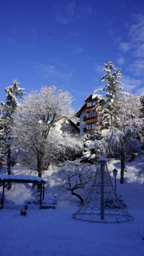 Отель Appartments Cesa Collina, Ортизеи